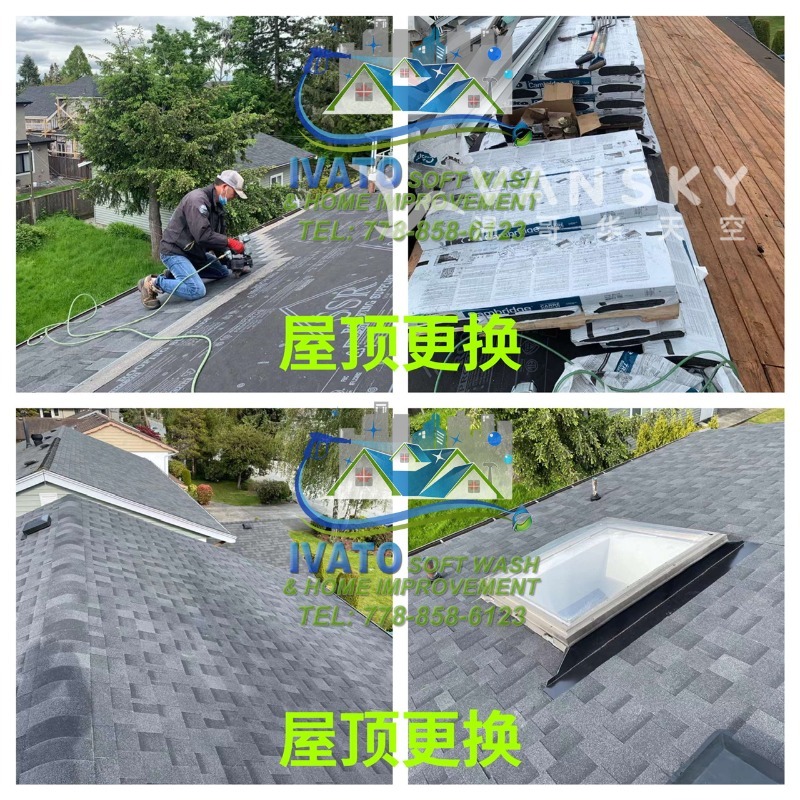 221101225718_07 Roof replace 03.jpg